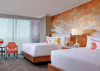 Looking for a hotel room in Las Vegas? Check out the luxurious Mandalay Bay on the South Strip. For more hotel information in Las Vegas, visit www.vegansbaby.com/vegansbaby2018