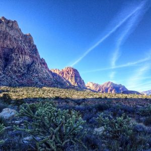 There's so much more to Las Vegas than The Strip! Check out the five best day trips to take from Las Vegas. For more on planning your trip to Las Vegas, visit www.vegansbaby.com/vegansbaby2018