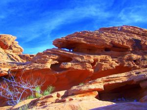 Don't miss out on the Valley of Fire while visiting Las Vegas. This half-day trip treats visitors to exploration of Nevada's oldest state park. For more tours in Las Vegas, visit www.vegansbaby.com/vegansbaby2018