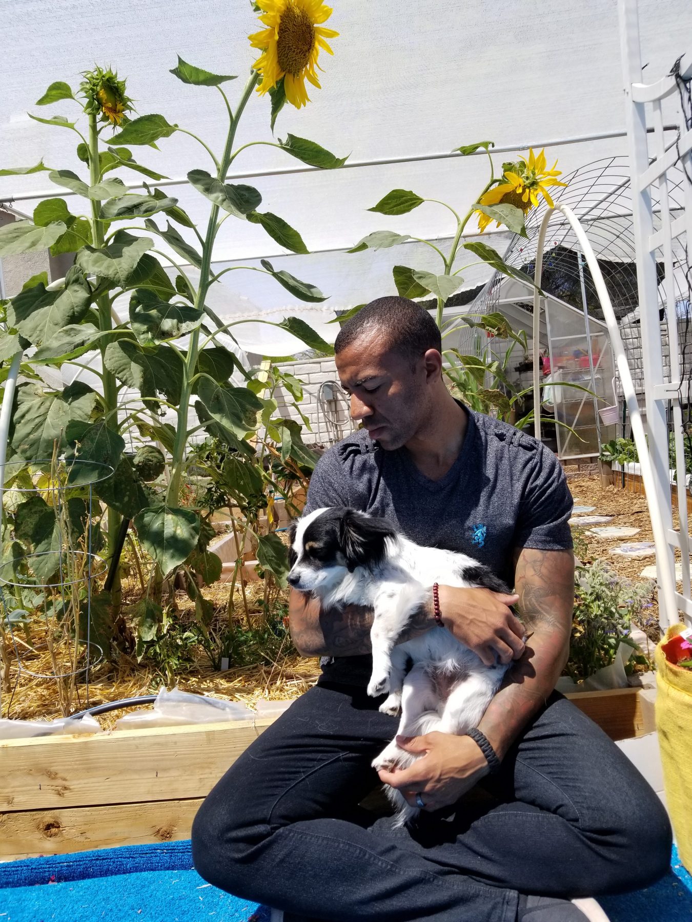 Las Vegas has another vegan claim to fame -- PETA named Las Vegas police officer David Anthony it's Sexiest Vegan Next Door. Learn more about PETA's top pick in this interview. For more on vegan dining and life in Las Vegas, visit www.vegansbaby.com/vegansbaby2018