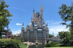 Disneyland has released a plant-based guide to the Magic Kingdom. For more vegan dining options around the world, visit www.vegansbaby.com