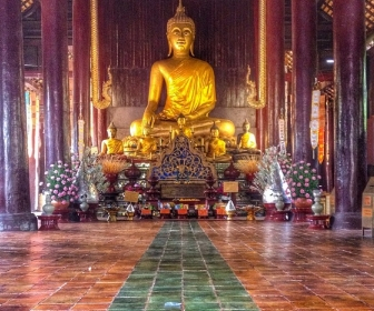Experience vegan Thailand with Vegans, Baby. For more vegan world tours, visit www.vegansbaby.com