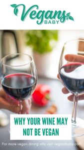 Is wine vegan? Not all wine is vegan. Frances Gonzales of Vegan Wines shares information about why makes wine not vegan and how to find vegan wine. 