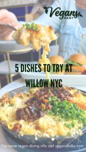 Willow NYC is a vegan restaurant in New York City. These are five dishes to try at Willow. For more vegan dining in New York City visit www.vegansbaby.com