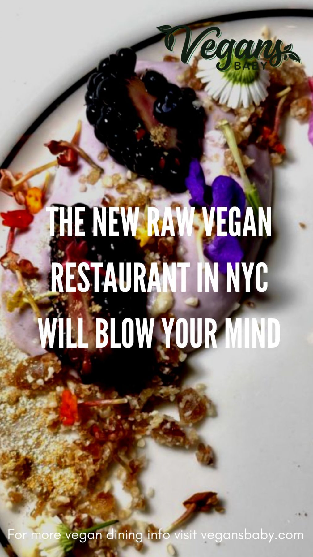 New vegan restaurants NYC -Rabbit is a raw vegan restaurant in NYC and a one of the healthy vegan restaurants in NYC. For more vegan eats NYC visit vegansbaby.com