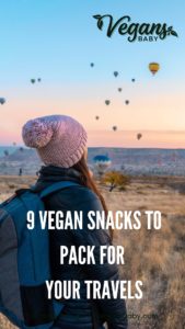 9 vegan travel food items to pack for your next vegan vacation