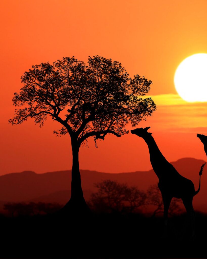 Kenya is one of The 25 best destinations for ecotourism (2024).