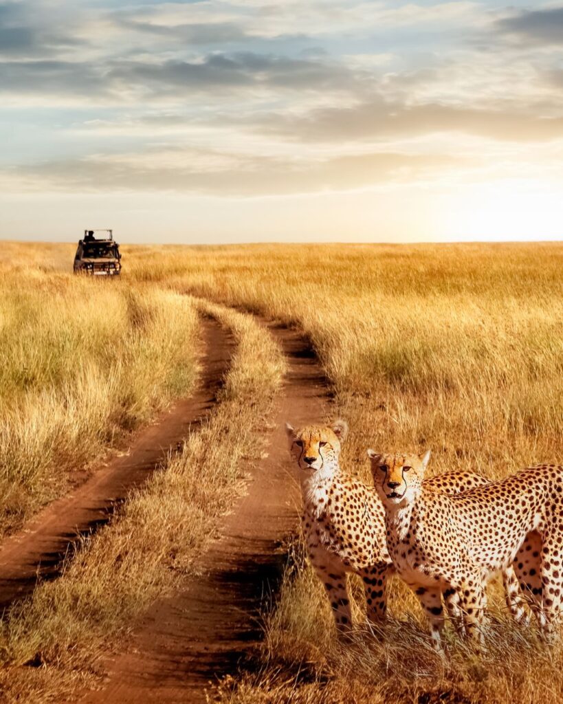 Tanzania is one of The 25 best destinations for ecotourism (2024).