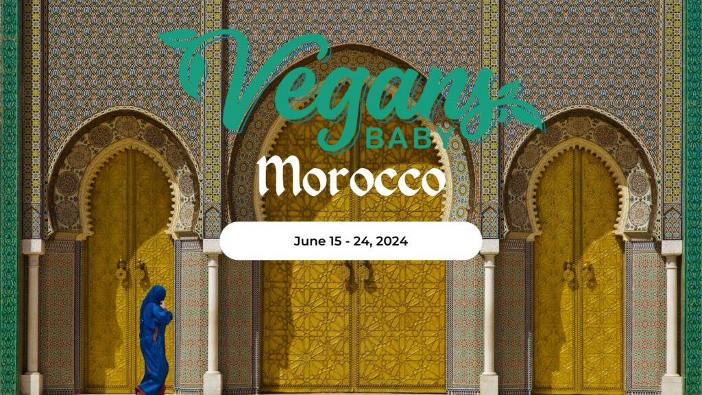 Join Vegans, Baby's diana Edelman on a luxury vegan tour of Morocco June 15 - 24, 2024